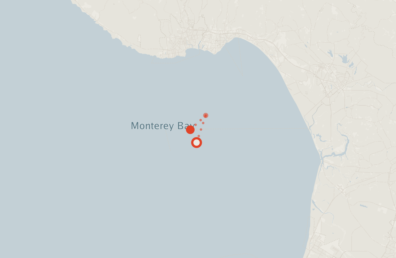 Activity map — real sighting points on an OpenStreetMap basemap