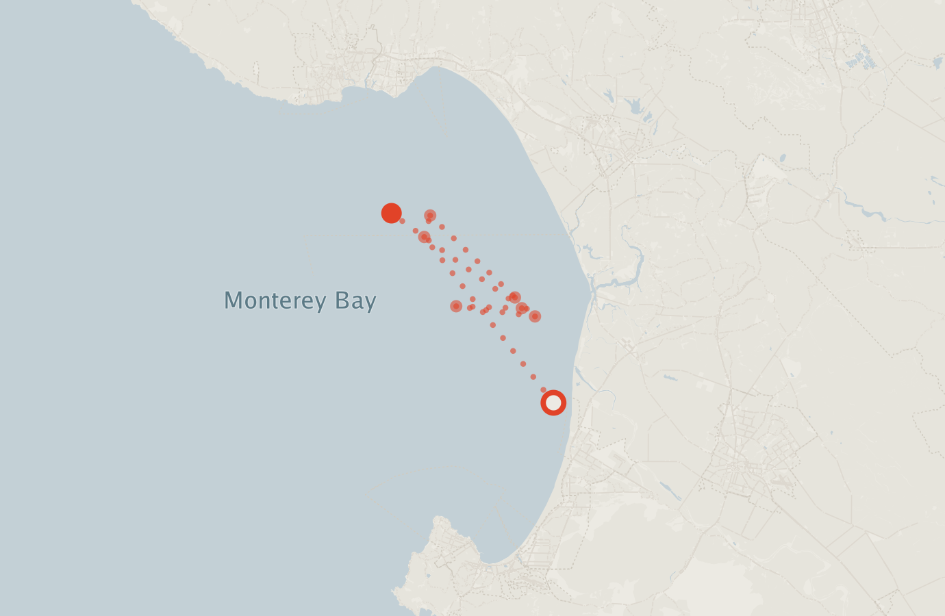 Activity map — real sighting points on an OpenStreetMap basemap