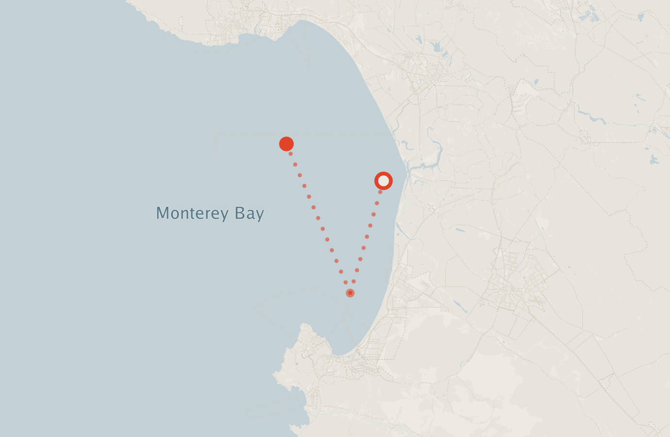 Activity map — real sighting points on an OpenStreetMap basemap