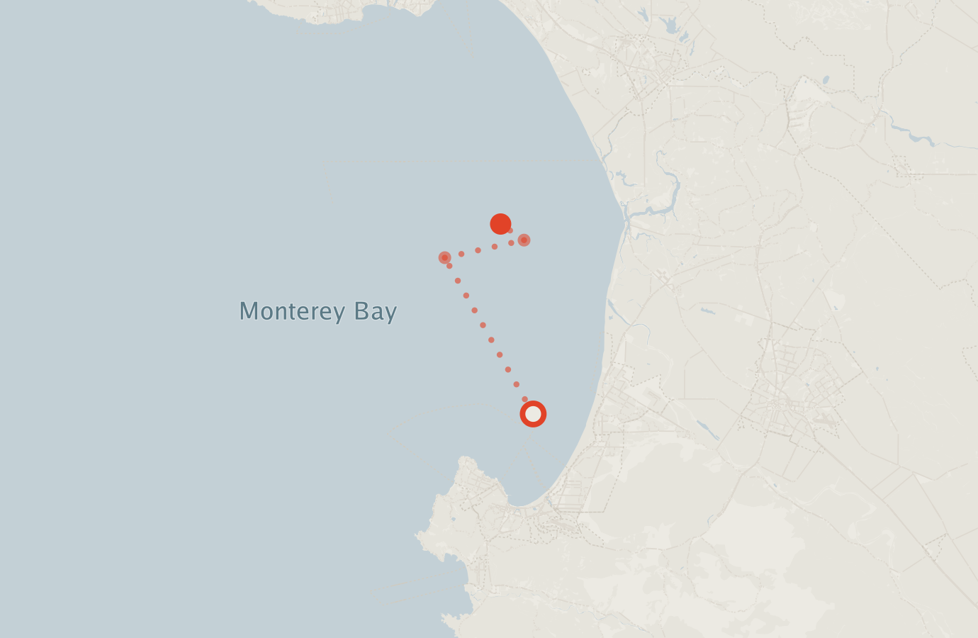 Activity map — real sighting points on an OpenStreetMap basemap