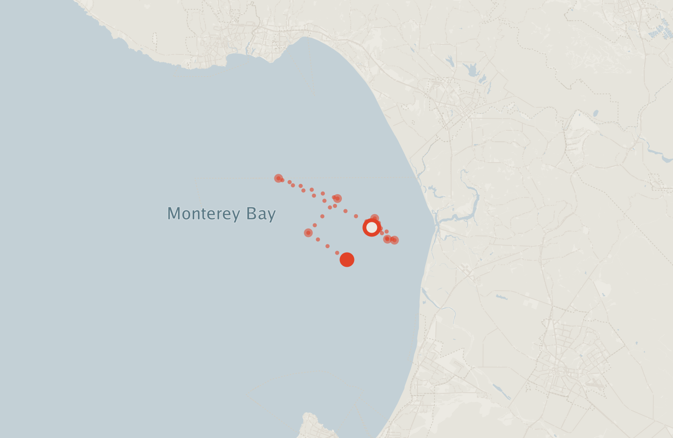 Activity map — real sighting points on an OpenStreetMap basemap