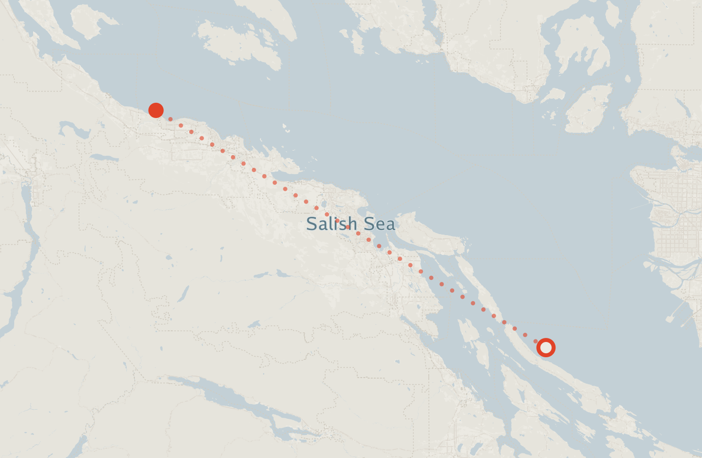 Activity map — real sighting points on an OpenStreetMap basemap