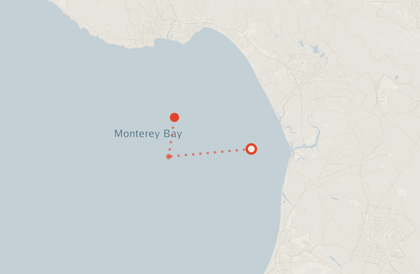 Activity map — real sighting points on an OpenStreetMap basemap
