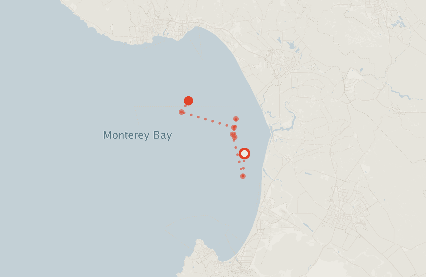 Activity map — real sighting points on an OpenStreetMap basemap