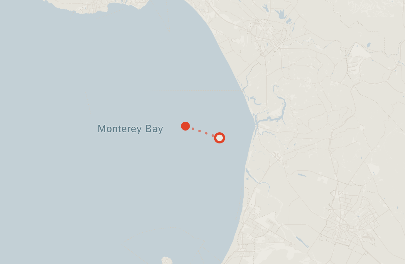 Activity map — real sighting points on an OpenStreetMap basemap