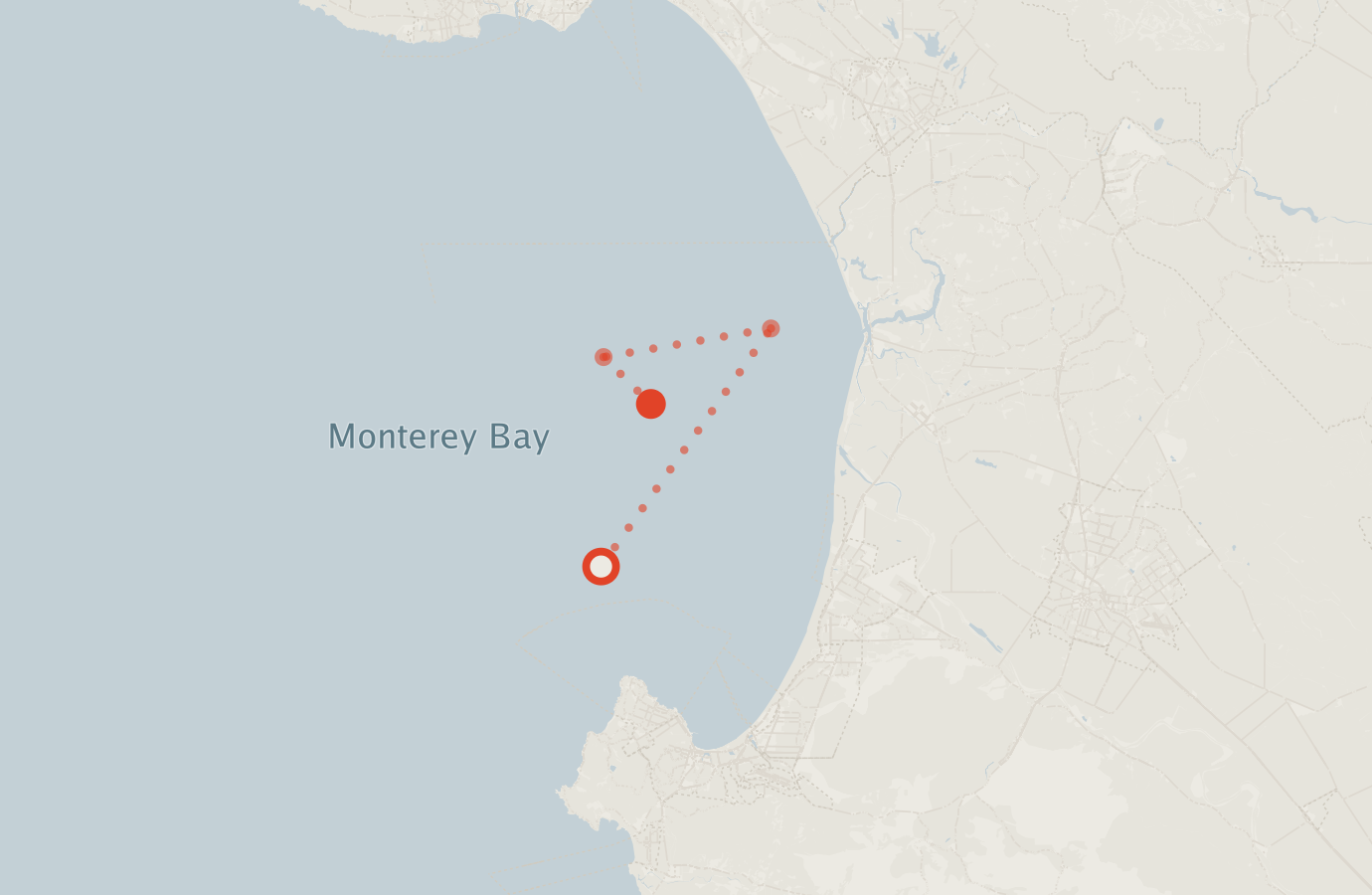 Activity map — real sighting points on an OpenStreetMap basemap