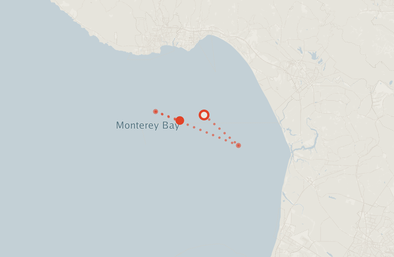 Activity map — real sighting points on an OpenStreetMap basemap