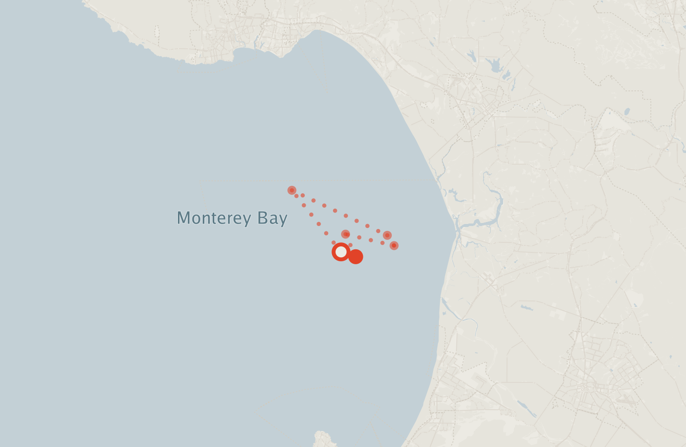 Activity map — real sighting points on an OpenStreetMap basemap