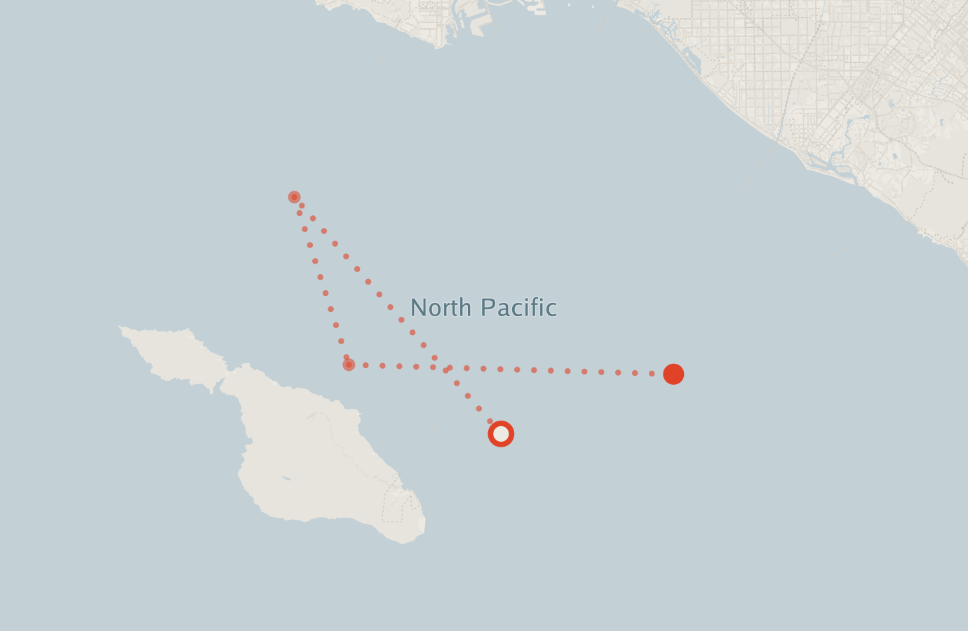 Activity map — real sighting points on an OpenStreetMap basemap