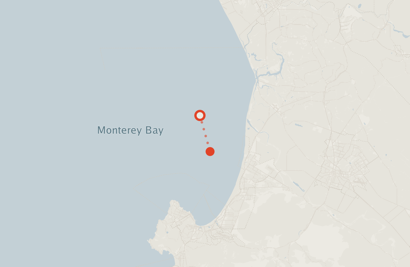 Activity map — real sighting points on an OpenStreetMap basemap