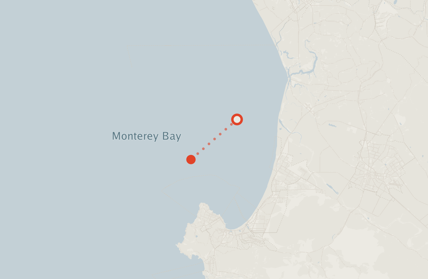 Activity map — real sighting points on an OpenStreetMap basemap
