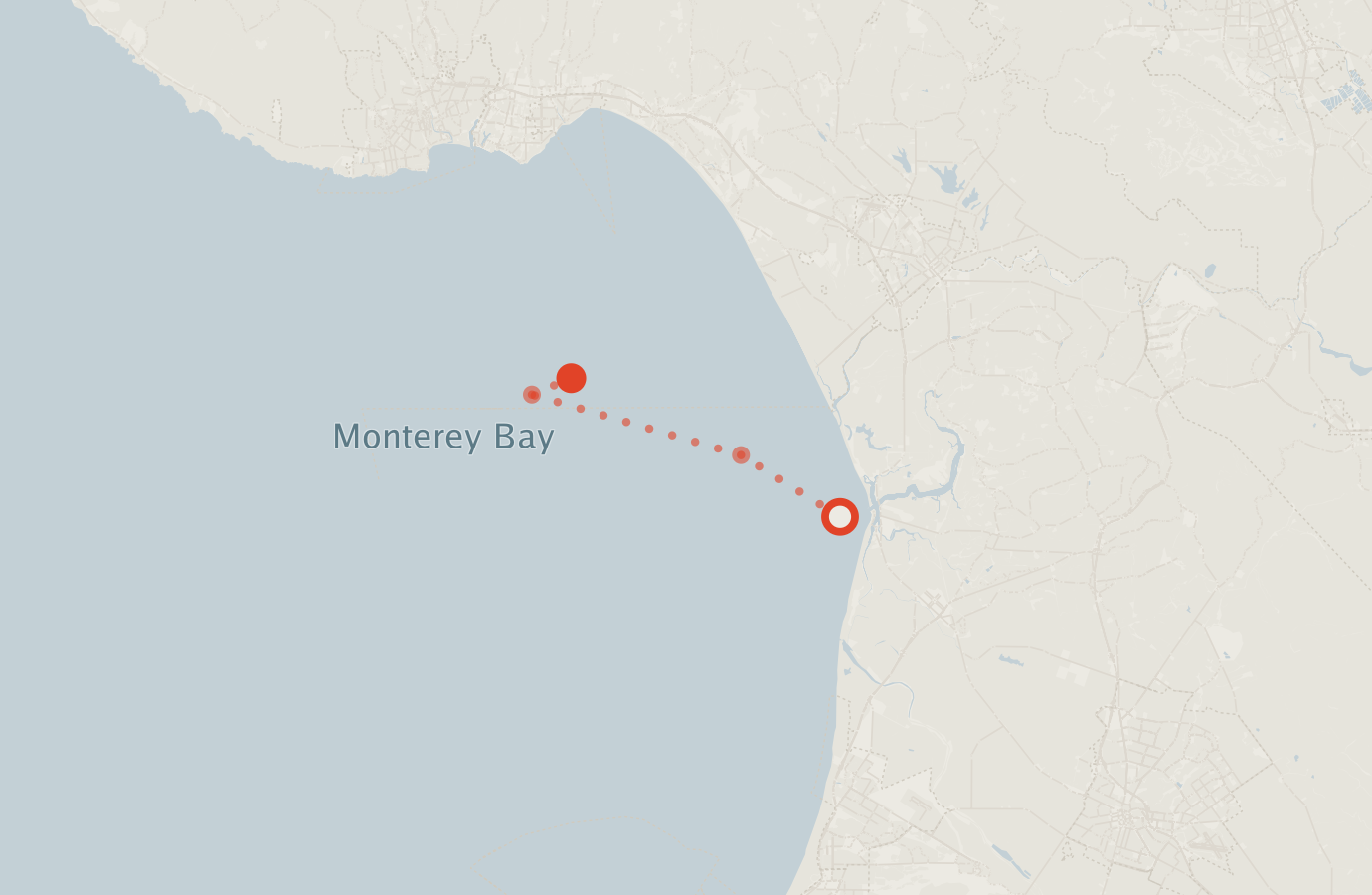 Activity map — real sighting points on an OpenStreetMap basemap