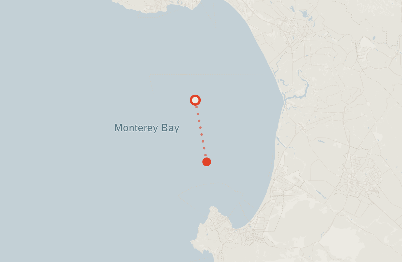 Activity map — real sighting points on an OpenStreetMap basemap