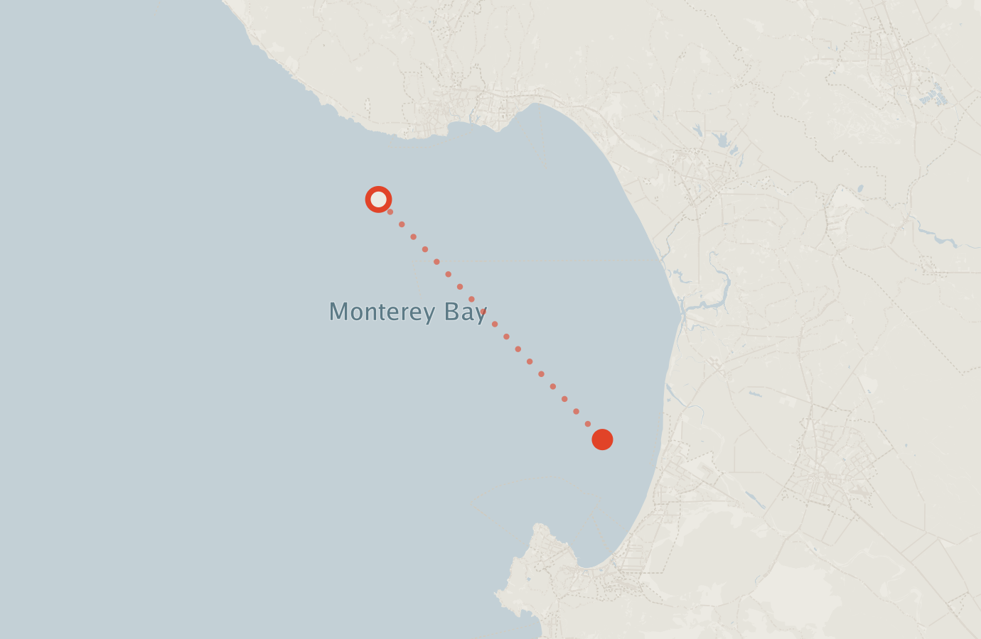 Activity map — real sighting points on an OpenStreetMap basemap