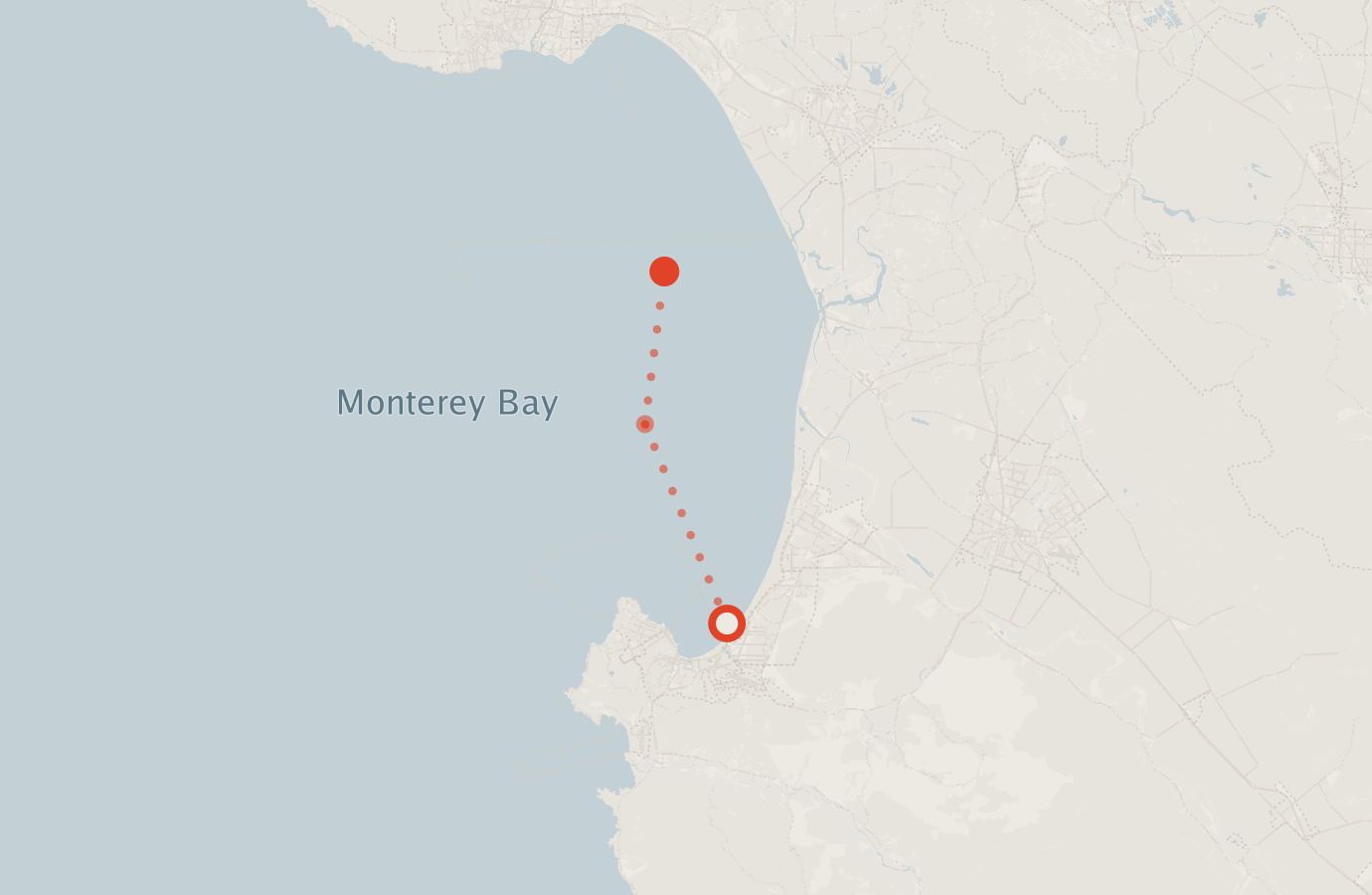 Activity map — real sighting points on an OpenStreetMap basemap