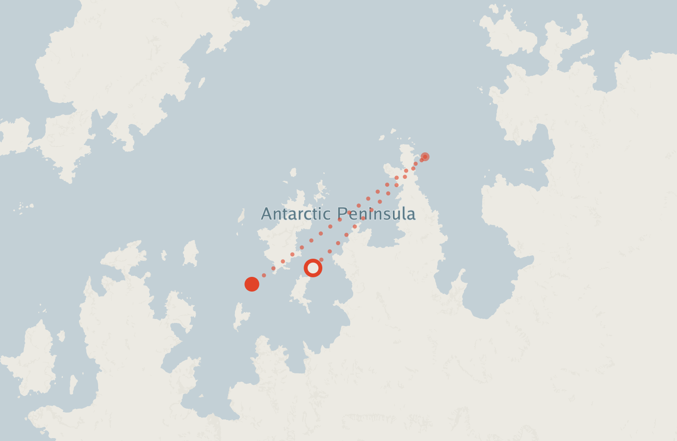 Activity map — real sighting points on an OpenStreetMap basemap
