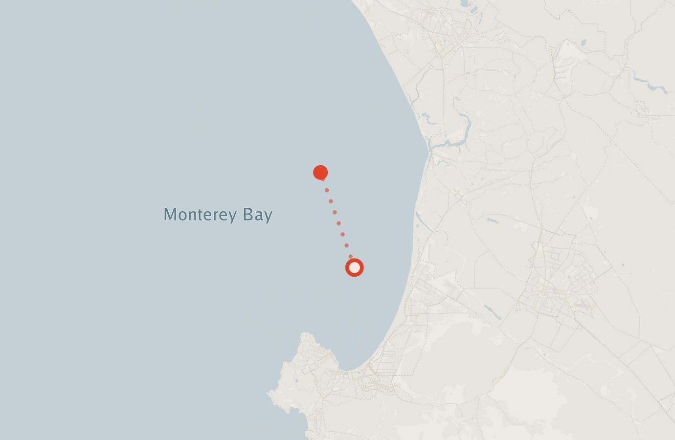 Activity map — real sighting points on an OpenStreetMap basemap