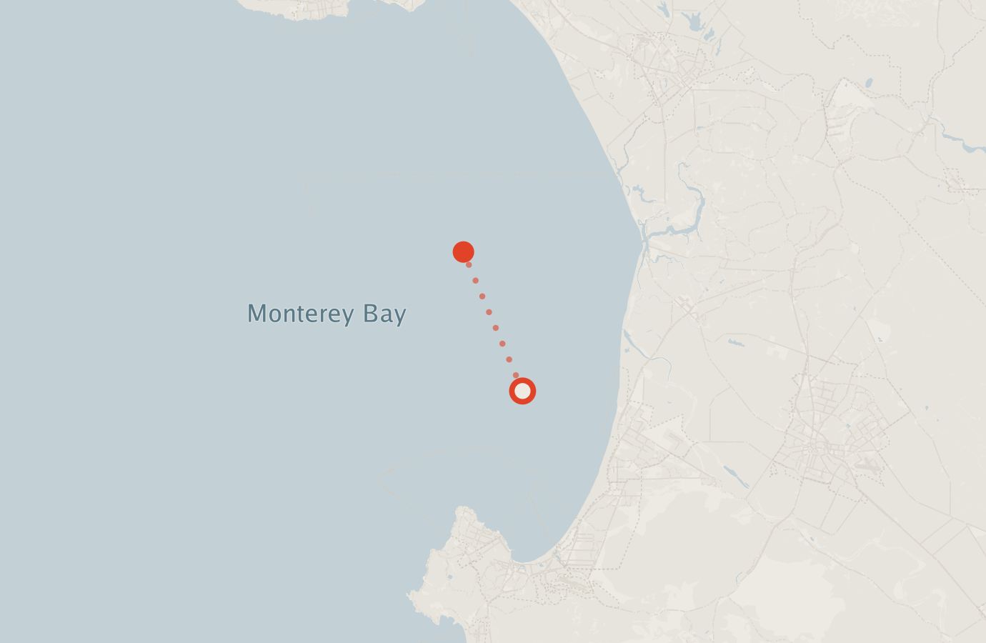 Activity map — real sighting points on an OpenStreetMap basemap