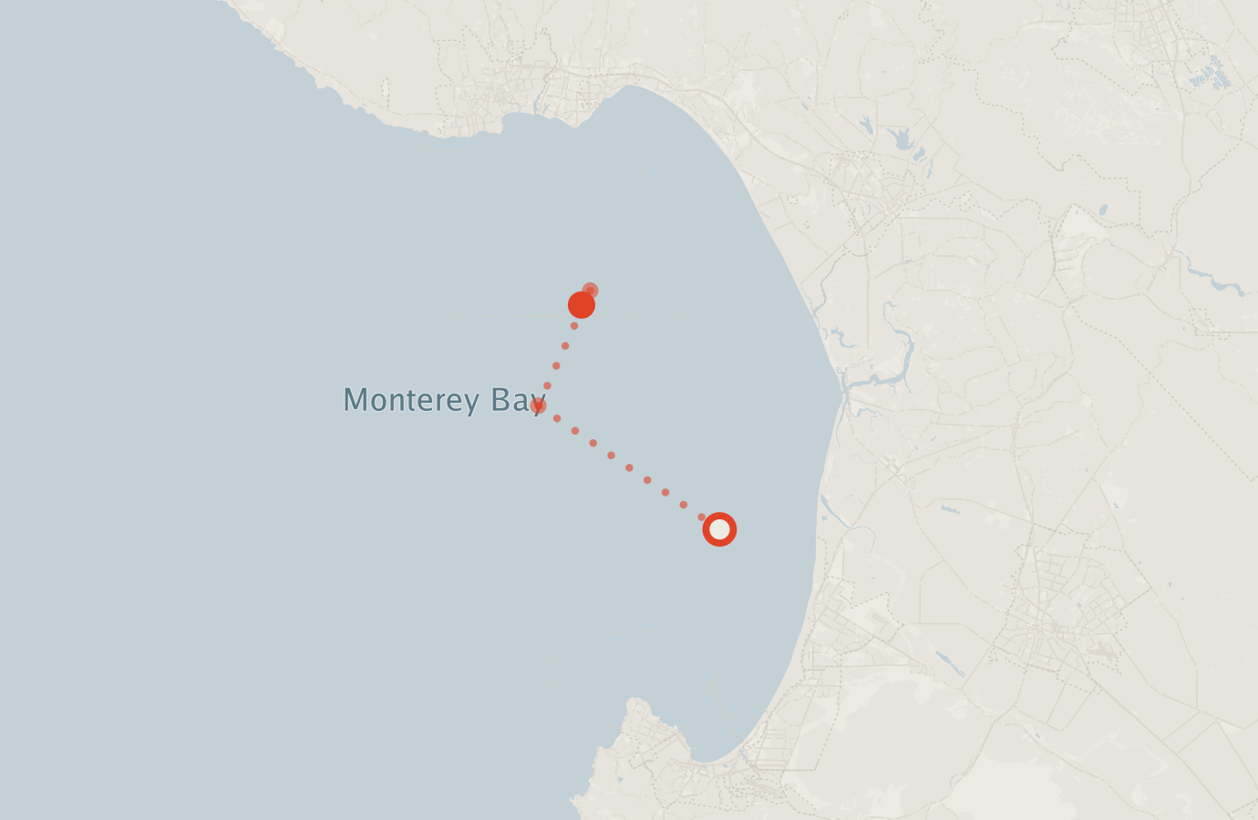 Activity map — real sighting points on an OpenStreetMap basemap