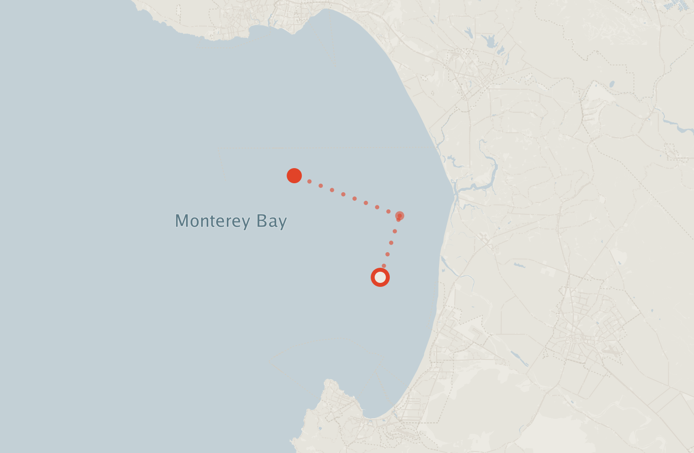 Activity map — real sighting points on an OpenStreetMap basemap