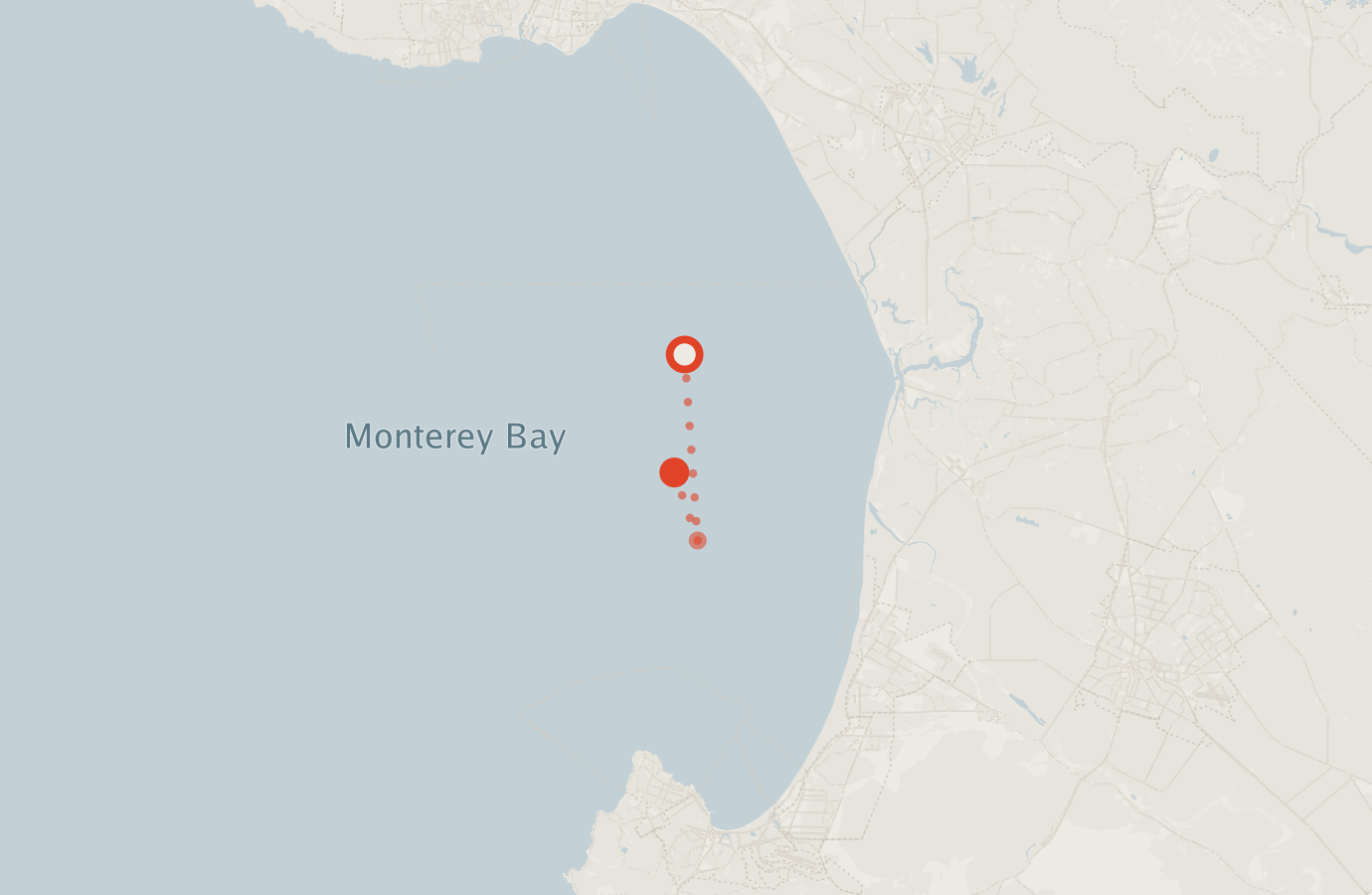 Activity map — real sighting points on an OpenStreetMap basemap