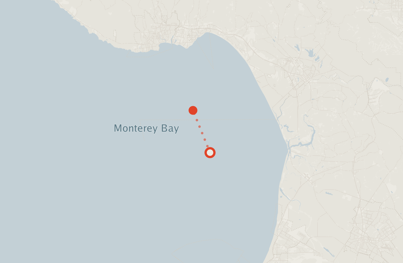 Activity map — real sighting points on an OpenStreetMap basemap