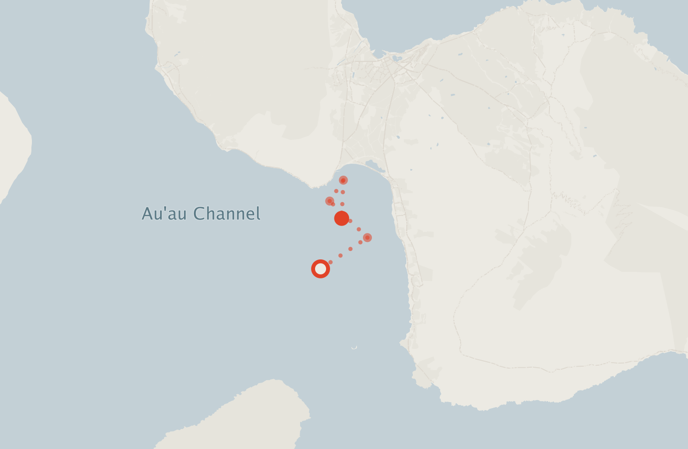Activity map — real sighting points on an OpenStreetMap basemap