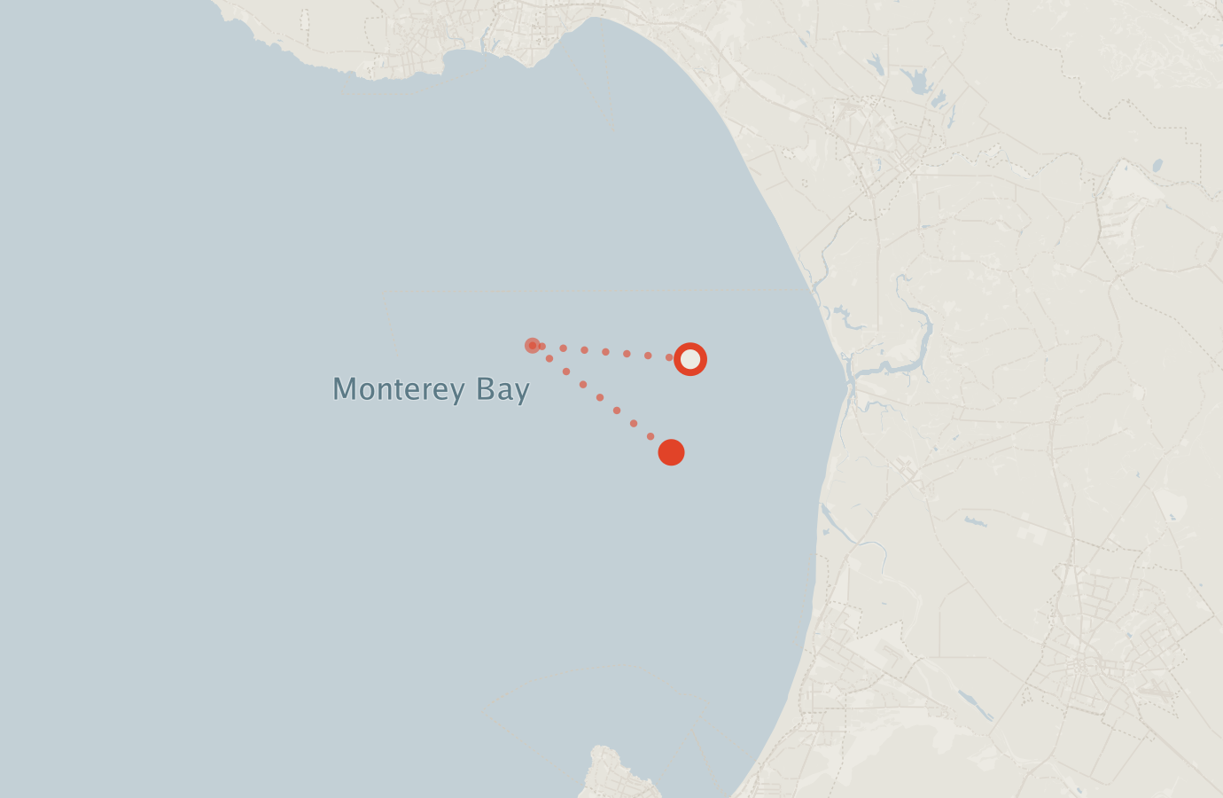 Activity map — real sighting points on an OpenStreetMap basemap