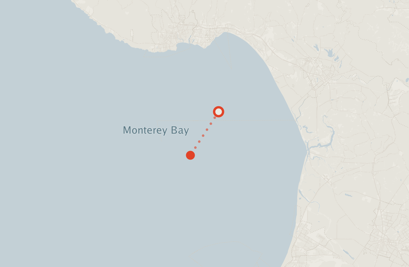 Activity map — real sighting points on an OpenStreetMap basemap