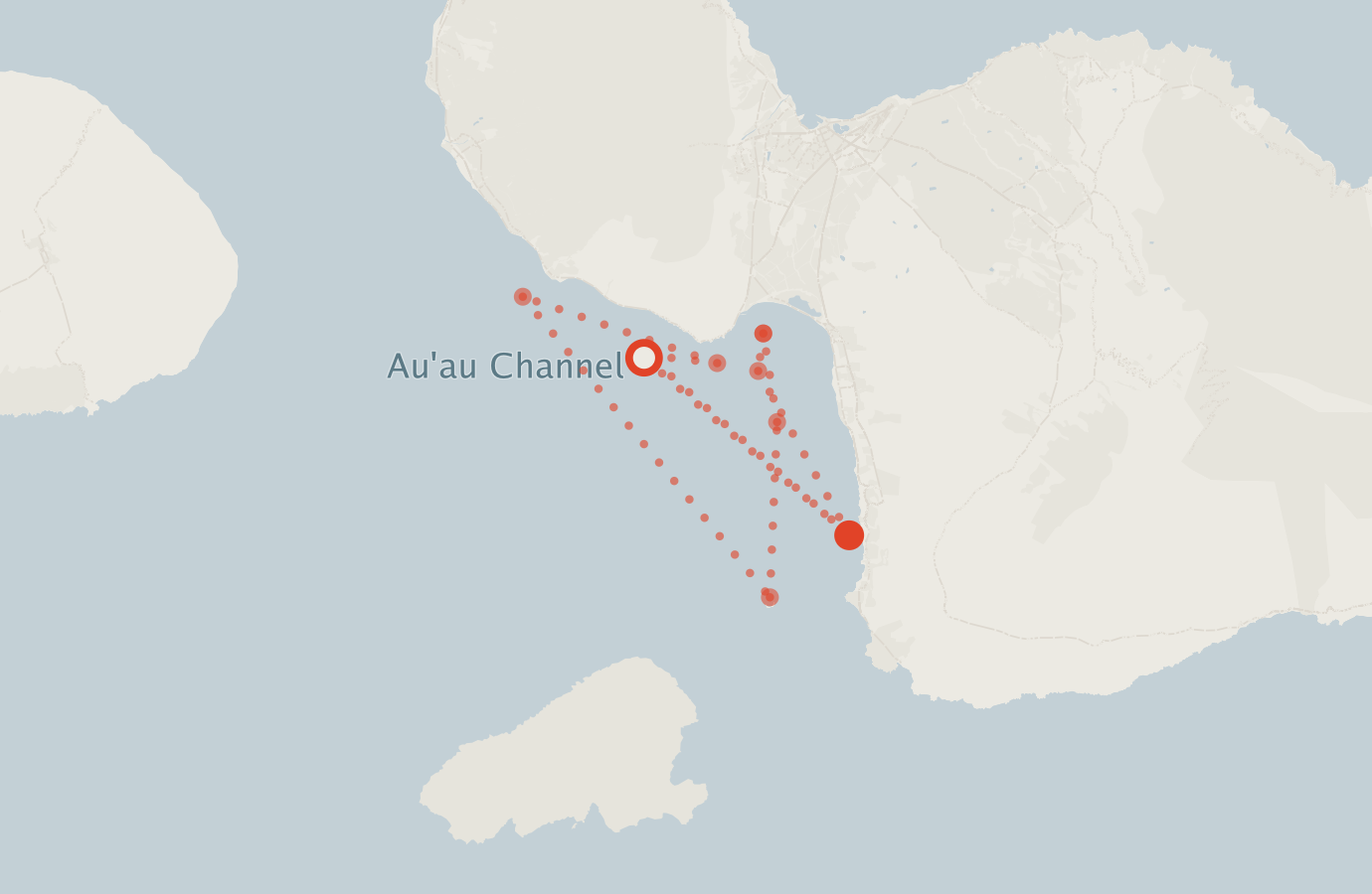 Activity map — real sighting points on an OpenStreetMap basemap