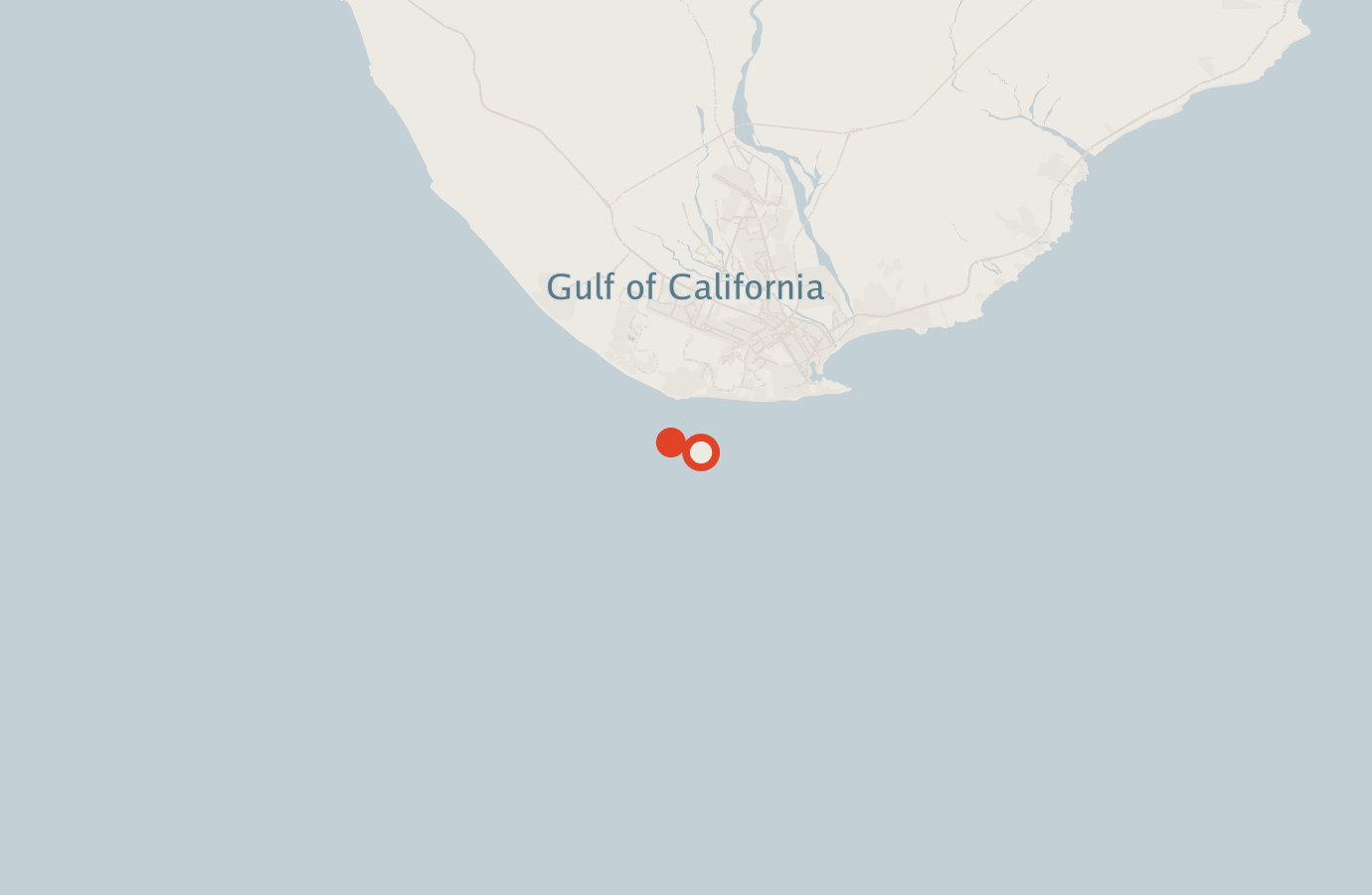 Activity map — real sighting points on an OpenStreetMap basemap