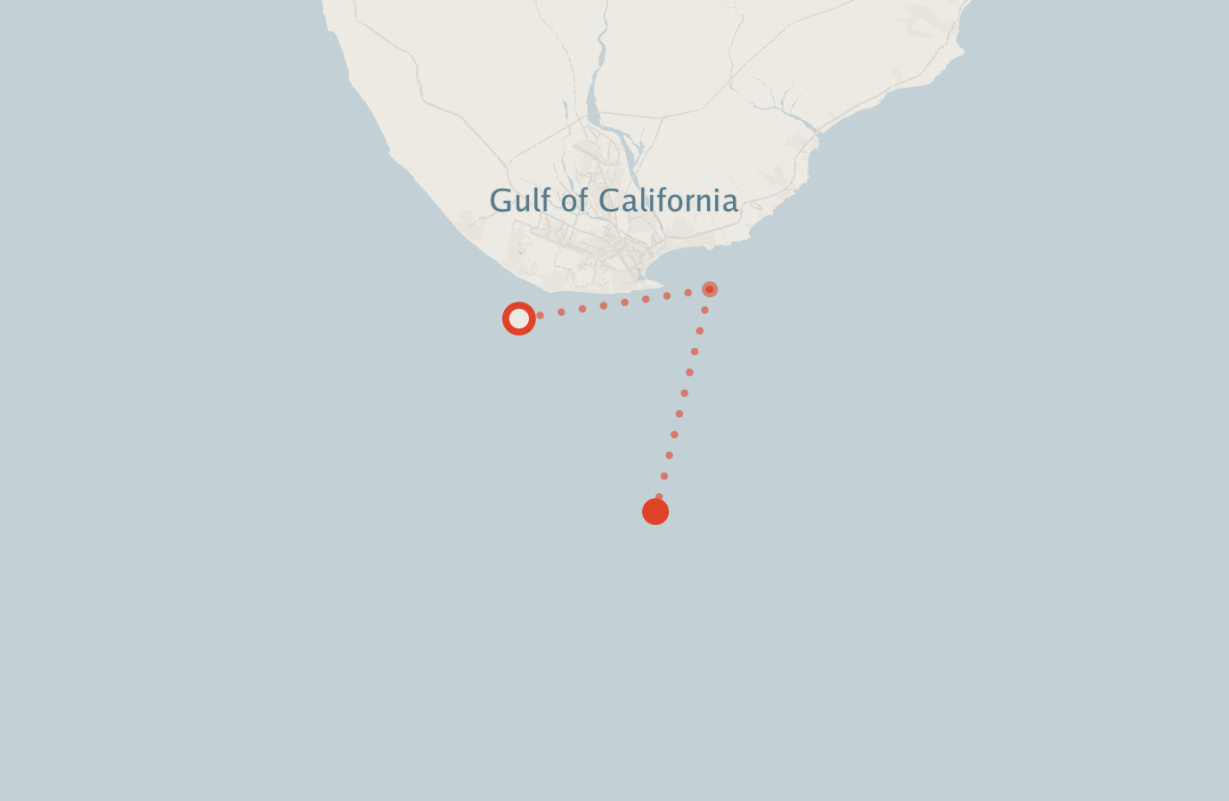 Activity map — real sighting points on an OpenStreetMap basemap