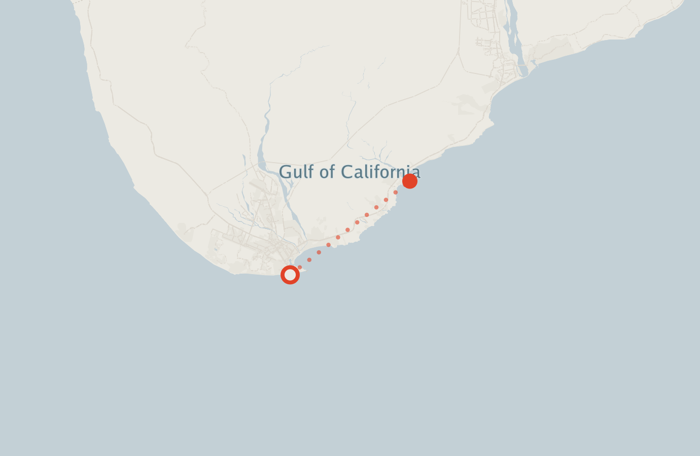 Activity map — real sighting points on an OpenStreetMap basemap