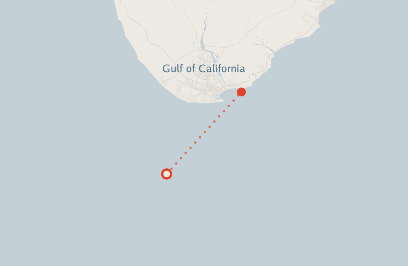 Activity map — real sighting points on an OpenStreetMap basemap
