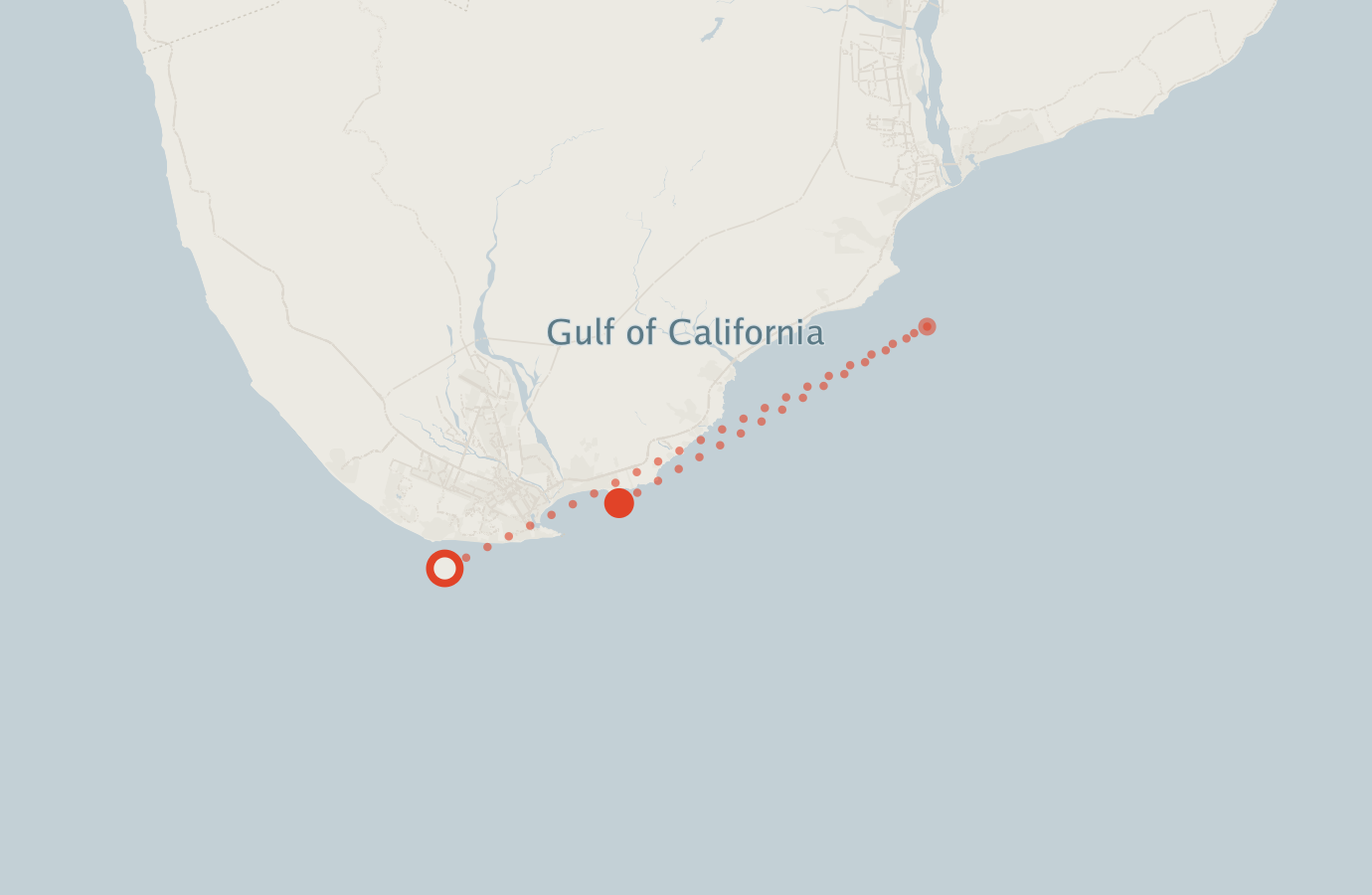 Activity map — real sighting points on an OpenStreetMap basemap