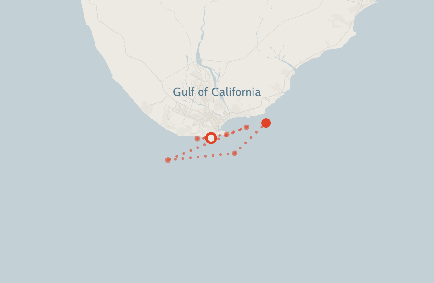 Activity map — real sighting points on an OpenStreetMap basemap