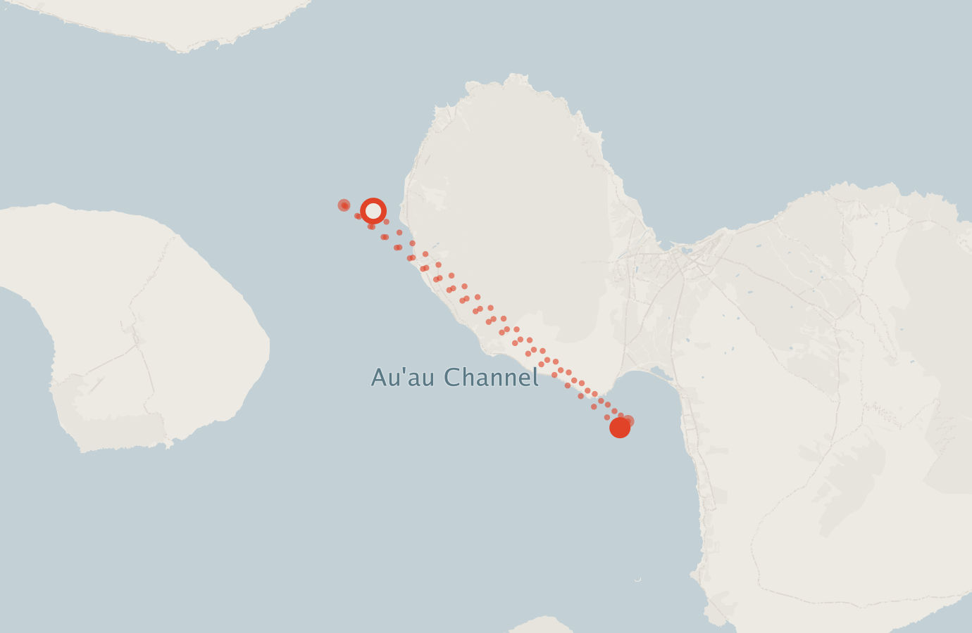 Activity map — real sighting points on an OpenStreetMap basemap