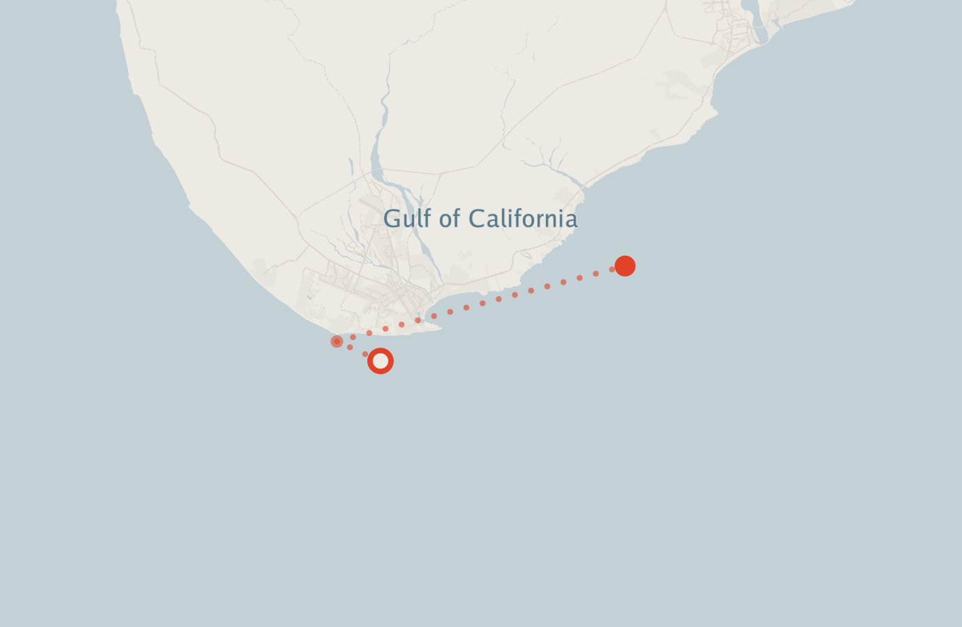 Activity map — real sighting points on an OpenStreetMap basemap