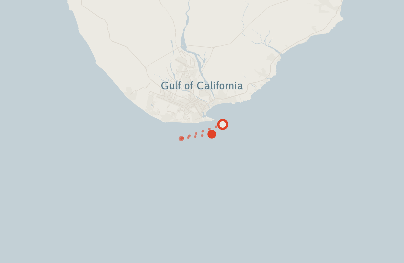 Activity map — real sighting points on an OpenStreetMap basemap