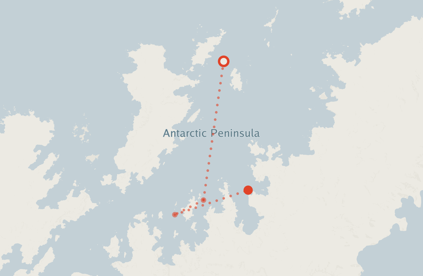Activity map — real sighting points on an OpenStreetMap basemap