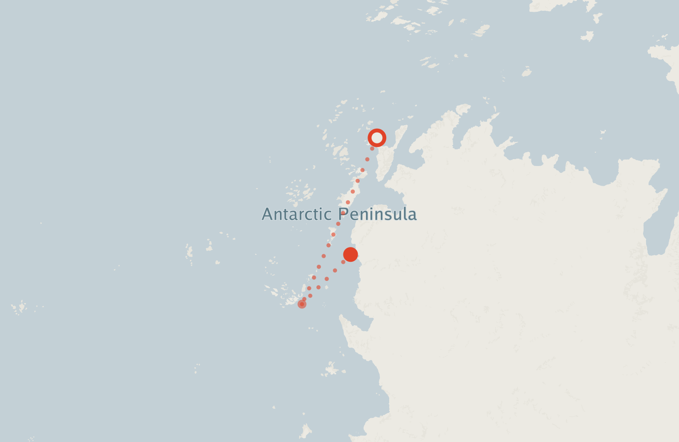Activity map — real sighting points on an OpenStreetMap basemap