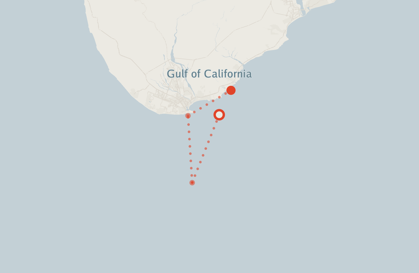 Activity map — real sighting points on an OpenStreetMap basemap