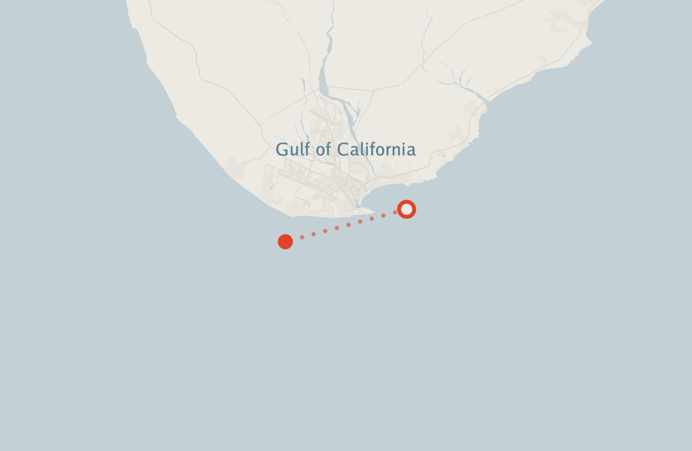 Activity map — real sighting points on an OpenStreetMap basemap
