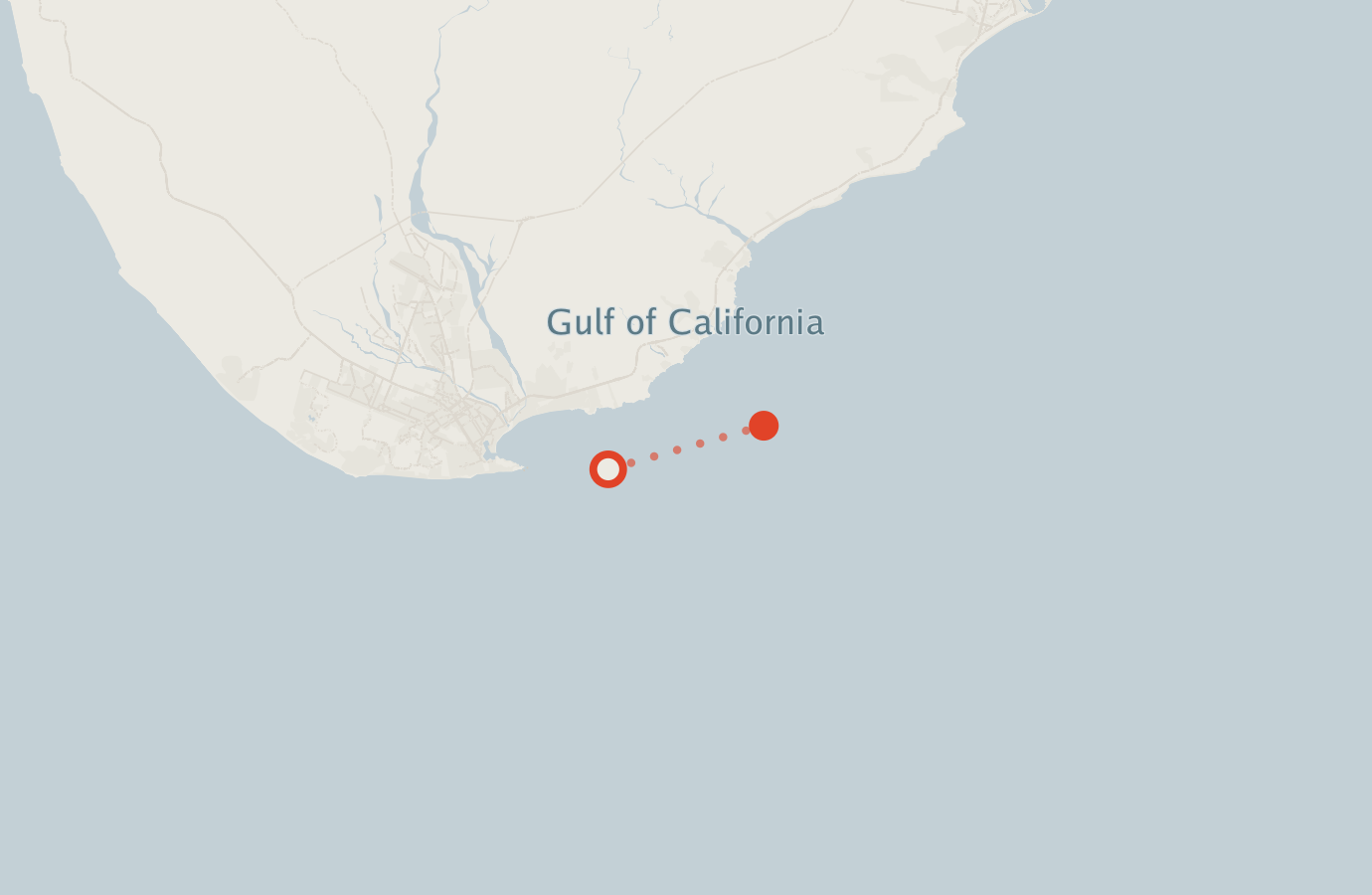Activity map — real sighting points on an OpenStreetMap basemap