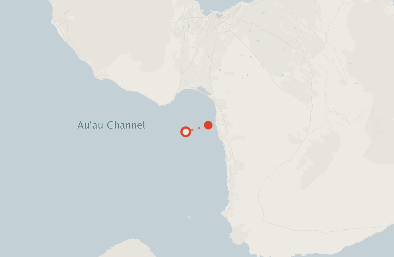 Activity map — real sighting points on an OpenStreetMap basemap