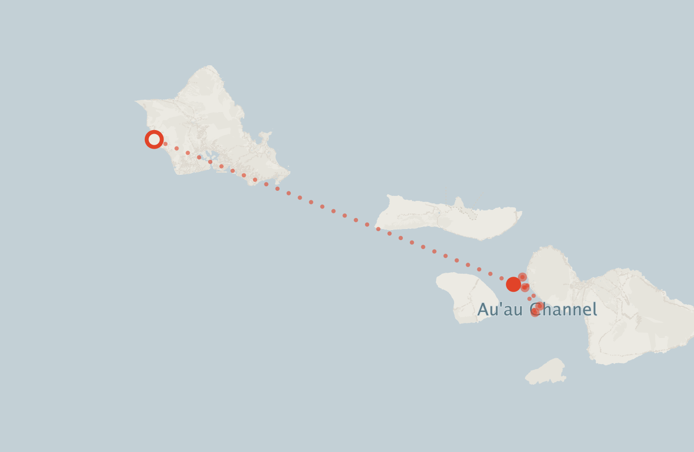 Activity map — real sighting points on an OpenStreetMap basemap