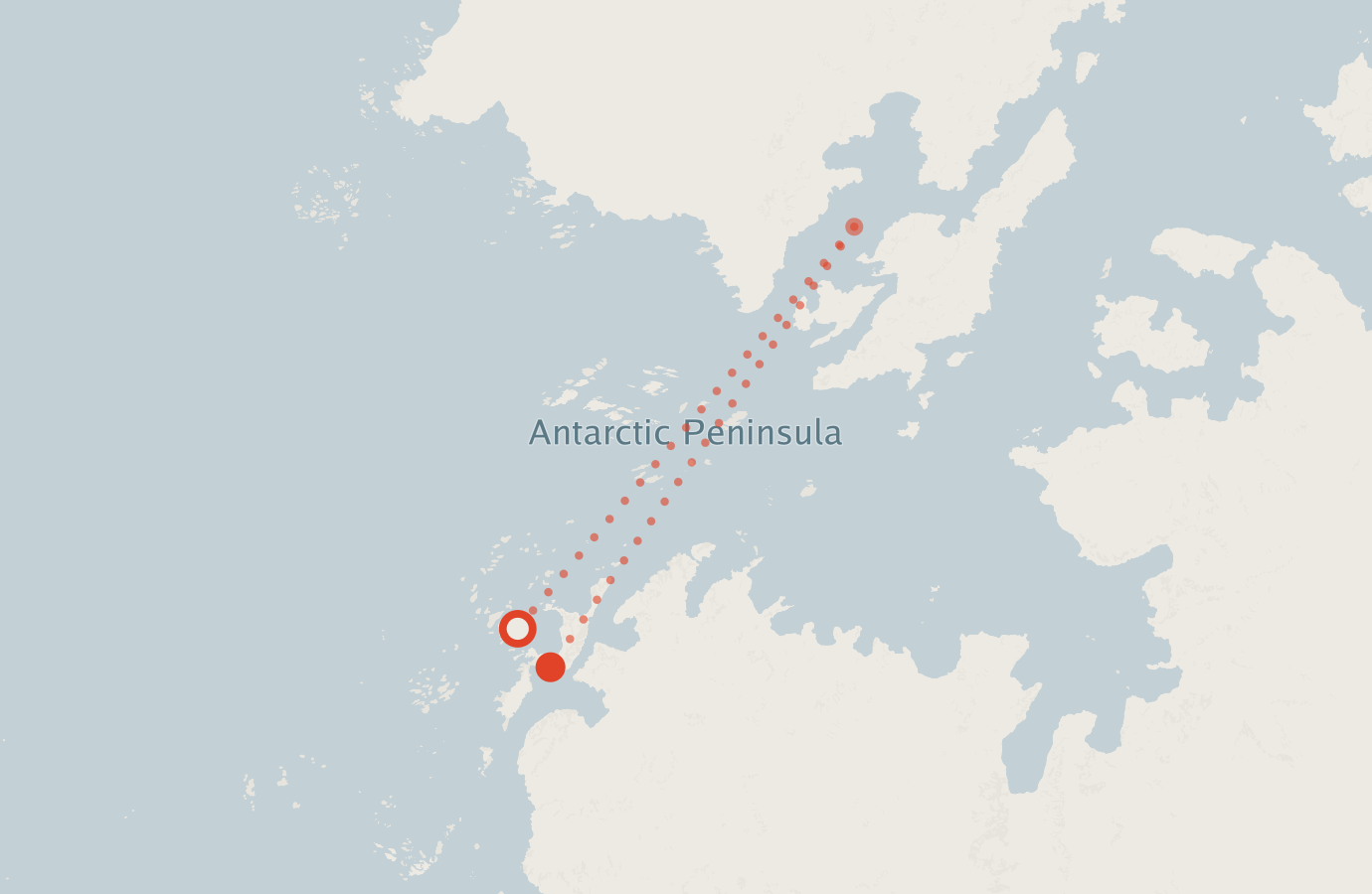 Activity map — real sighting points on an OpenStreetMap basemap