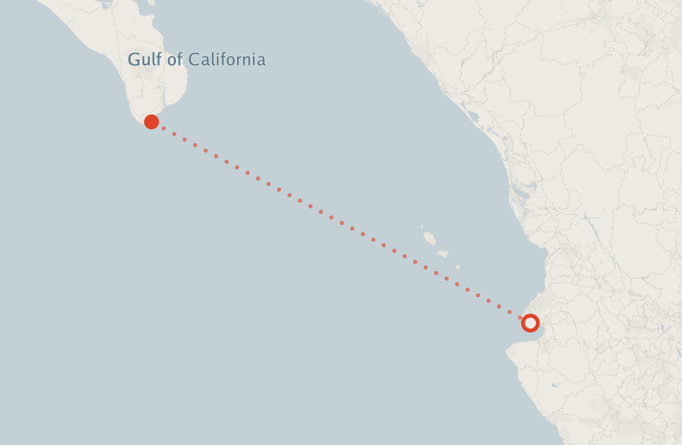 Activity map — real sighting points on an OpenStreetMap basemap