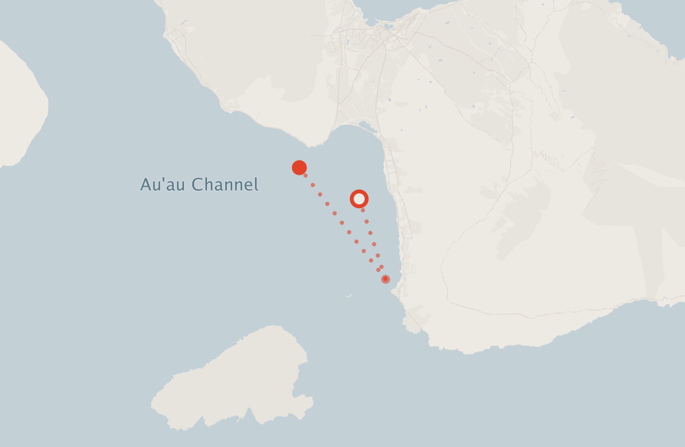 Activity map — real sighting points on an OpenStreetMap basemap