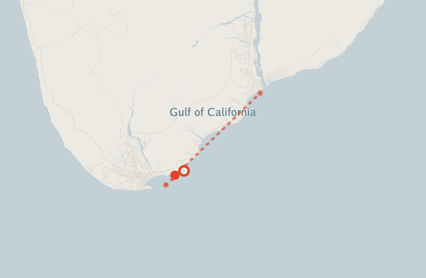Activity map — real sighting points on an OpenStreetMap basemap